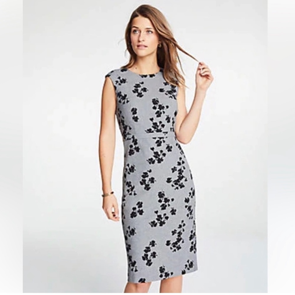 Ann Taylor Floral Black and Grey sheath dress